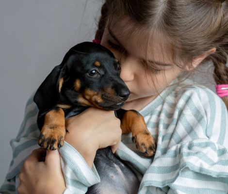 Little,Girl,Holding,A,Dachshund,Puppy,In,Her,Arms,,Love
